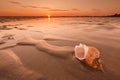 Sunset Caribbean beach and large shell, shell on sand Royalty Free Stock Photo