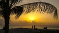 Sunset on Caribbean Beach with Palm Tree on the San Blas Islands between Panama and Colombia. Royalty Free Stock Photo