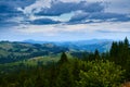 Sunset in carpathian mountains - beautiful summer landscape, spruces on hills, cloudy sky and wildflowers Royalty Free Stock Photo