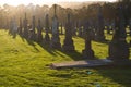 Sunset at the Cemetery