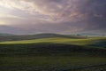 Sunset in the cereal fields.