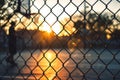 Sunset Through Chain-Link Fence, Urban Serenity Concept