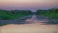 Sunset over channel in Danube delta Royalty Free Stock Photo