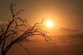 Sunset - Chobe N.P. Botswana, Africa