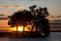 Sunset in the Chobe NP Royalty Free Stock Photo