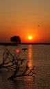 Sunset at Chobe River in Botswana Royalty Free Stock Photo
