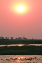 Sunset at Chobe riverfront from a boat Royalty Free Stock Photo