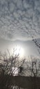 Sunset and cirrus clouds. sun over the lake. landscape gray shades