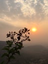 SUNSET CLICK WITH PLANT WHILE TRACKING IN MOUNTAINS