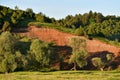 Cliff of the river bank. Clay on the slope of the ravine. Beautiful trees on the background of a clay slope