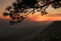 Sunset at cliff, with silhouettes of tree at (Pha Mak Duk) Phukradung National Park, Thailand Royalty Free Stock Photo