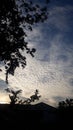 Sunset and cloud in the sky