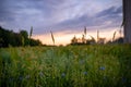 Sunset behind the grainfield in the countryside Royalty Free Stock Photo