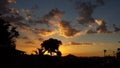 Sunset in Curitiba, Brazil with dark clouds, red, yellow and orange tones in the sky behind the trees Royalty Free Stock Photo