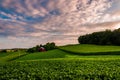 Sunset clouds over a farm in Southern York County, Pennsylvania. Royalty Free Stock Photo