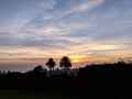 Sunset through the clouds over the ocean seen from Tantalus mountain past tropical silhouette of trees Royalty Free Stock Photo