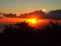 Sunset through the clouds over the ocean seen from Tantalus mountain past tropical silhouette of trees Royalty Free Stock Photo