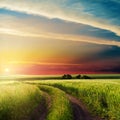 Sunset in clouds over road in green field Royalty Free Stock Photo