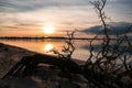 Sunset with clouds reflecting in the glassy ocean with silhouette of dead tree in the forground at the beach Royalty Free Stock Photo