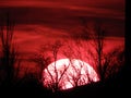 Sunset with clouds and silhouette of the trees Royalty Free Stock Photo