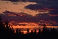 Sunset with clouds and trees in silhouette