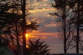 Sunset with cloudy sky and pines on the coast of Cantabria