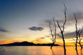 Sunset at coast of the lake and dead tree. Nature landscape Royalty Free Stock Photo