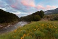 Sunset in Cobb valley of Kahurangi NP, New Zealand