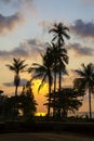 Sunset and coconut in Bailan beach Royalty Free Stock Photo