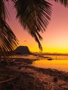 Sunset and coconut palm leaves with Le Morn mountain on background in Mauritius Royalty Free Stock Photo