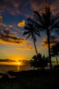 Sunset and Coconut Palm Tree Silhouettes Royalty Free Stock Photo