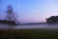 After sunset. Cold with mist covered meadow, just tree peaks increased from fog.