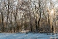 Sunset in a cold white winter day landscape. Road through rural area frosted fields. Bench in forest Royalty Free Stock Photo