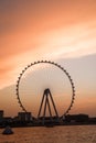 sunset colors over the sea view to the Ain Dubai Royalty Free Stock Photo