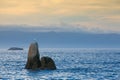 Sunset on Con Negro coast in Galicia Royalty Free Stock Photo