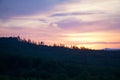 Pink-purple sunset over coniferous forest