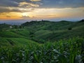 Sunset in the corn mountain Royalty Free Stock Photo