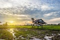Sunset Cottage in cornfield Royalty Free Stock Photo
