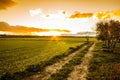 Sunset on a Country Field Royalty Free Stock Photo