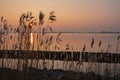 Sunset in the countryside from Friesland in the Netherlands