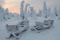 Sunset with a couple of sleighs covered in frost Royalty Free Stock Photo