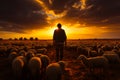 Sunset cowboy photo cowboy image. A man standing in front of a herd of sheep Royalty Free Stock Photo