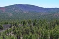 Cinder Hills near Sunset Crater Volcano, Arizona, USA Royalty Free Stock Photo