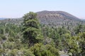 Red Cinder Cone of Sunset Crater Volcano, Arizona, USA Royalty Free Stock Photo