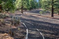 Sunset Crater National Monument. Royalty Free Stock Photo