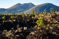 Sunset Crater National Monument Royalty Free Stock Photo