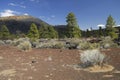 Sunset Crater Volcano in Arizona Royalty Free Stock Photo