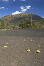 Sunset Crater Volcano in Arizona Royalty Free Stock Photo