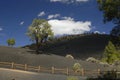 Sunset Crater Volcano in Arizona Royalty Free Stock Photo