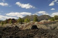 Sunset Crater Volcano in Arizona Royalty Free Stock Photo